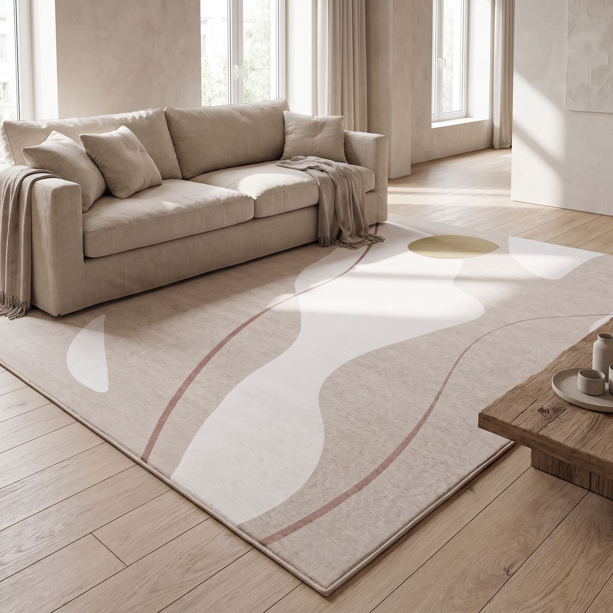 Seeking rug in a living room